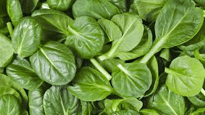 Fermented Organic Spinach